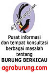 agroburung.com