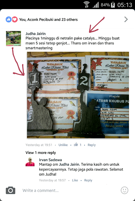 Catalyst untuk rekondisi Pleci Lomba
