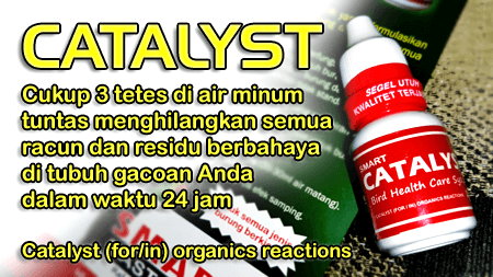 Smart CATALYST, penghilang racun di tubuh Burung