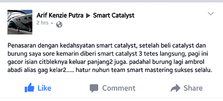 Catalyst untuk Burung Mabung