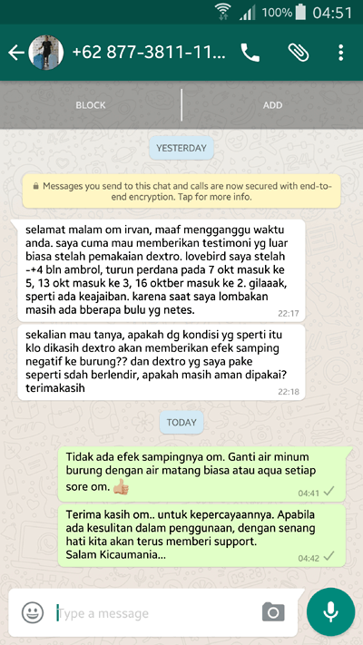 Smart DEXTRO untuk Lovebird