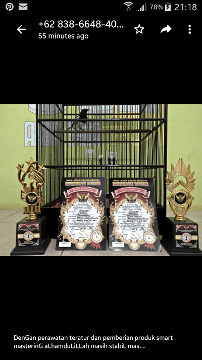 Doping Kacer Lomba