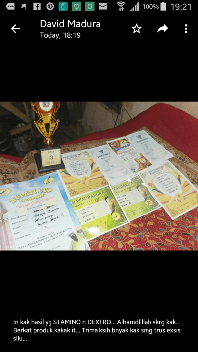 Doping Lovebird Balibu