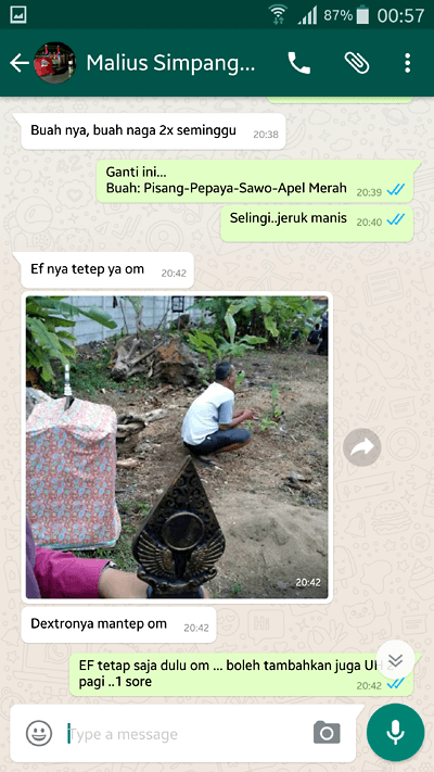 Doping Minuman Racikan Pleci