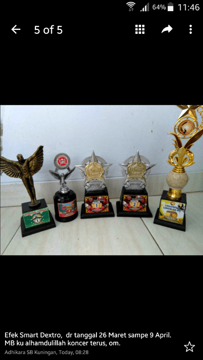 Doping Vitamin untuk Burung Lomba