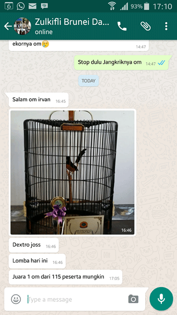 Doping untuk Murai Batu