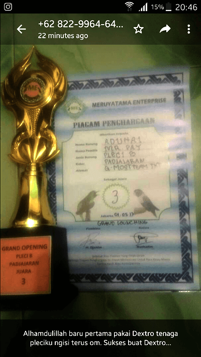 Doping untuk Pleci Lomba