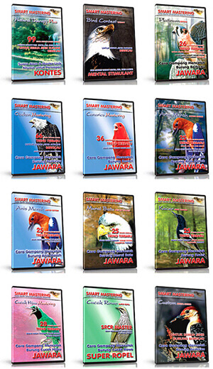 Master Burung Smart Mastering