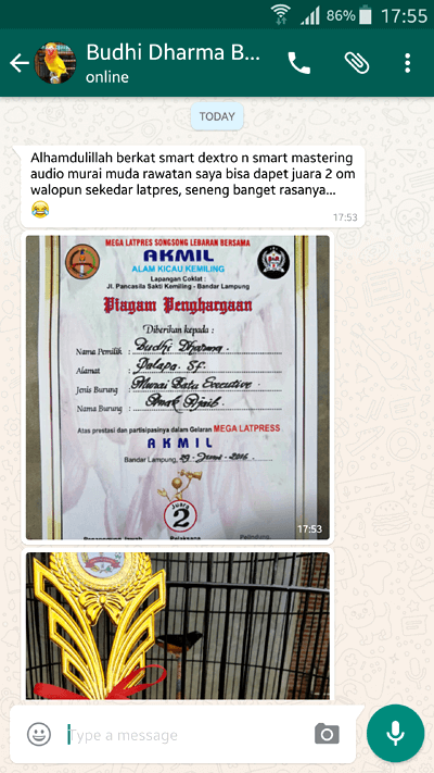 Murai Batu Juara
