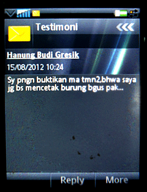 NHB - Suplemen Burung