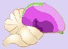 Diagram Otak Burung
