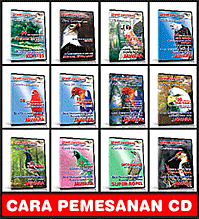 CD Master Smart Mastering
