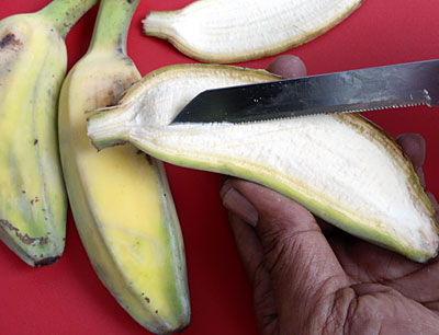 Pisang Kepok Putih
