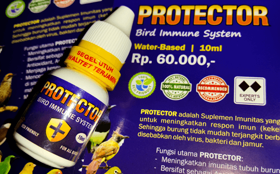 PROTECTOR, Mengatasi Burung Kurus Nyilet