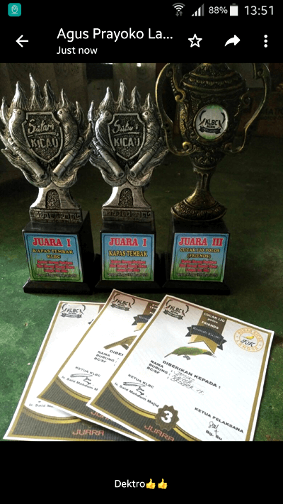 Smart DEXTRO Vitamin untuk Burung Lomba