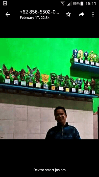Smart DEXTRO Vitamin untuk Burung Lomba