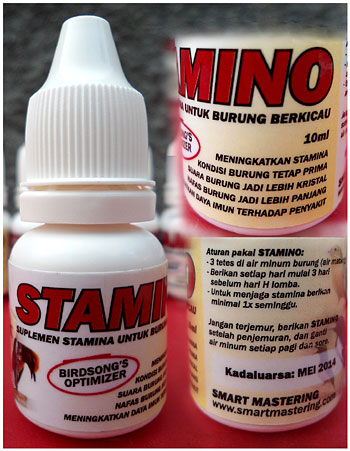 Smart STAMINO untuk meningkatkan stamina burung lomba