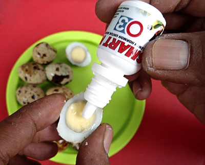 Telur Puyuh untuk Kenari