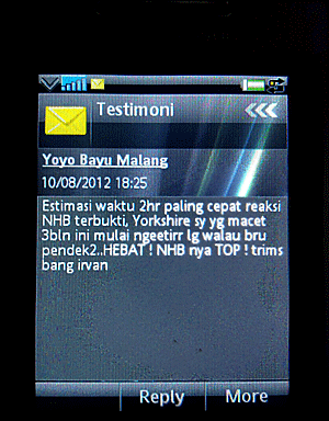 NHB unuk burung Kenari Yorkshire