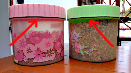 Toples Makanan Burung
