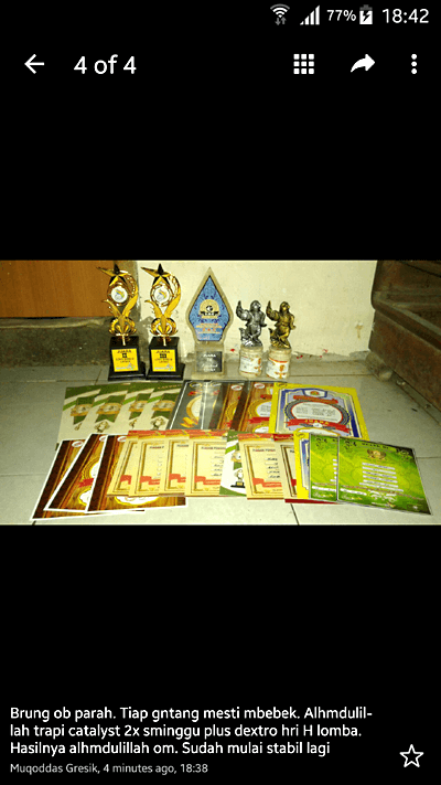 Vitamin untuk Lovebird Lomba