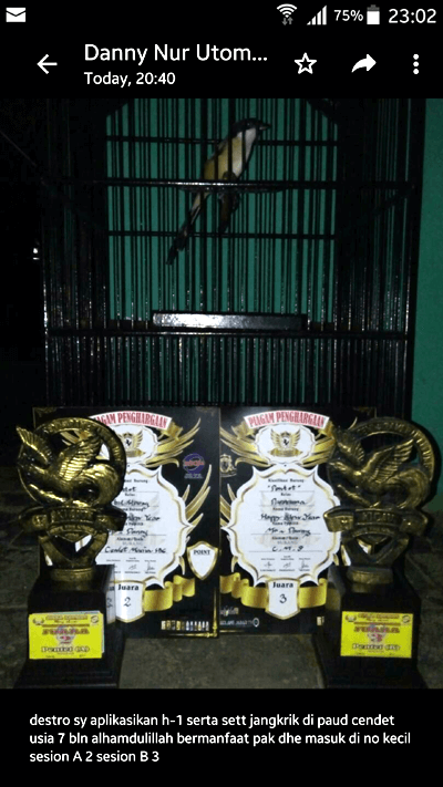 Vitamin untuk burung Cendet lomba