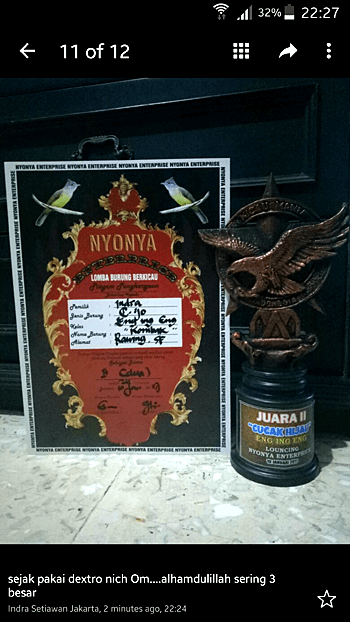 Vitamin untuk burung Cucak Ijo Lomba