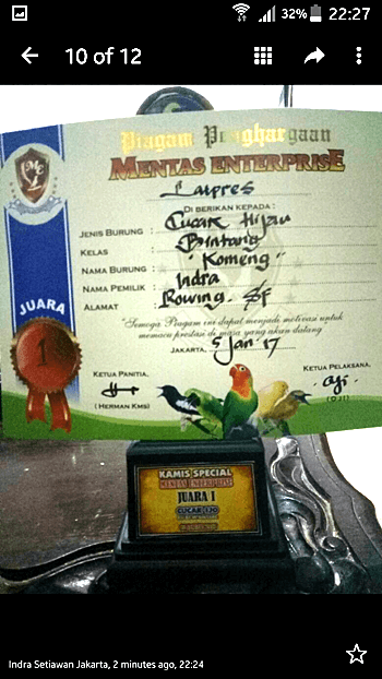 Vitamin untuk burung Cucak Ijo Lomba