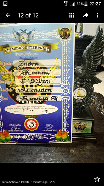 Vitamin untuk burung Cucak Ijo Lomba