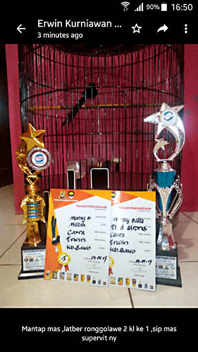 Smart SUPERVIT, Vitamin burung Murai Batu Lomba