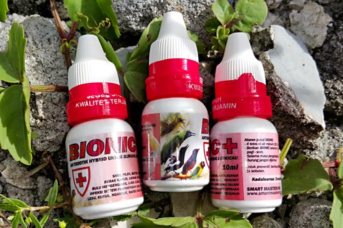 Smart BIONIC+, Obat untuk Mengatasi dan Mengobati Burung Suara Serak Smart BIONIC+, Obat untuk Mengatasi dan Mengobati Burung Suara Serak