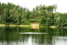 Habitat Burung Berkicau