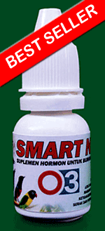 Smart NHB, Suplemen Stimulasi Hormon dan Omega 3, 5, 6, 7 & 9 plus Vitamin Mineral untuk semua jenis Burung Berkicau