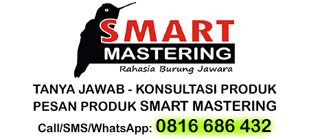 Call/SMS/WhatsApp | Smart Mastering