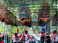 Penjurian Burung Berkicau