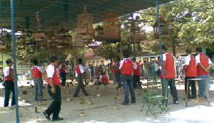 Lomba Burung Berkicau