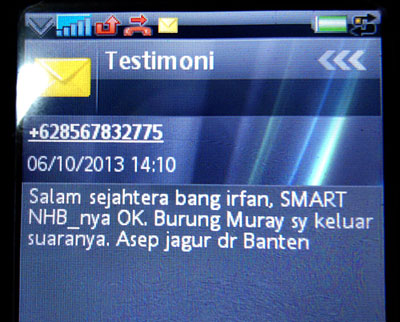 Smart NHB, Murai Macet Berkicau