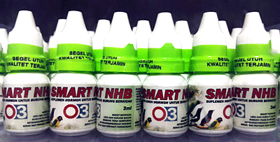 Smart NHB