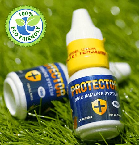 PROTECTOR, Bird Immune System