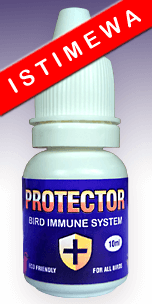 PROTECTOR, Suplemen Imunitas yang diformulasikan khusus untuk meningkatkan respon imun tubuh burung