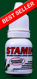 Smart STAMINO, Suplemen Stamina dan Vitamin plus Prebiotik untuk Burung Lomba