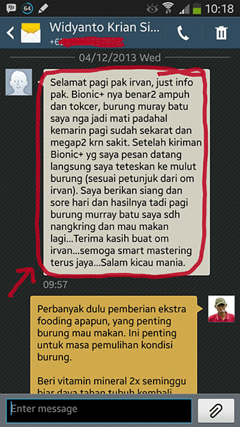 Obat untuk burung Murai Batu sakit