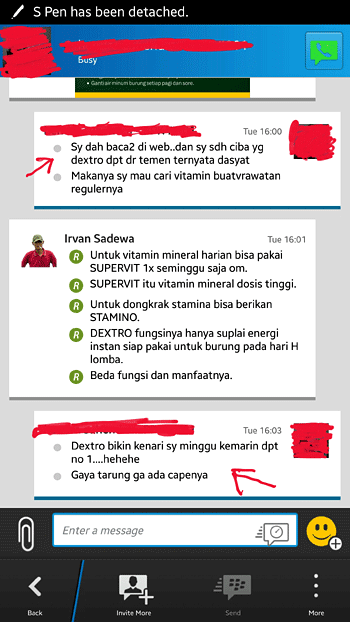 Vitamin untuk burung Kenari